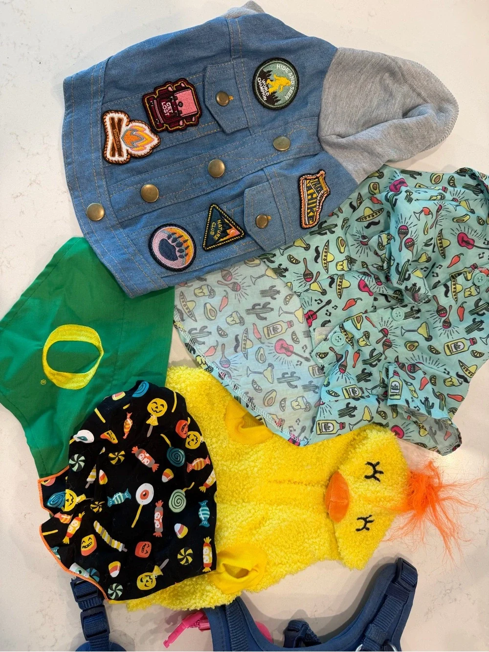 XS Dog Clothes, Bandanas, and Harnesses